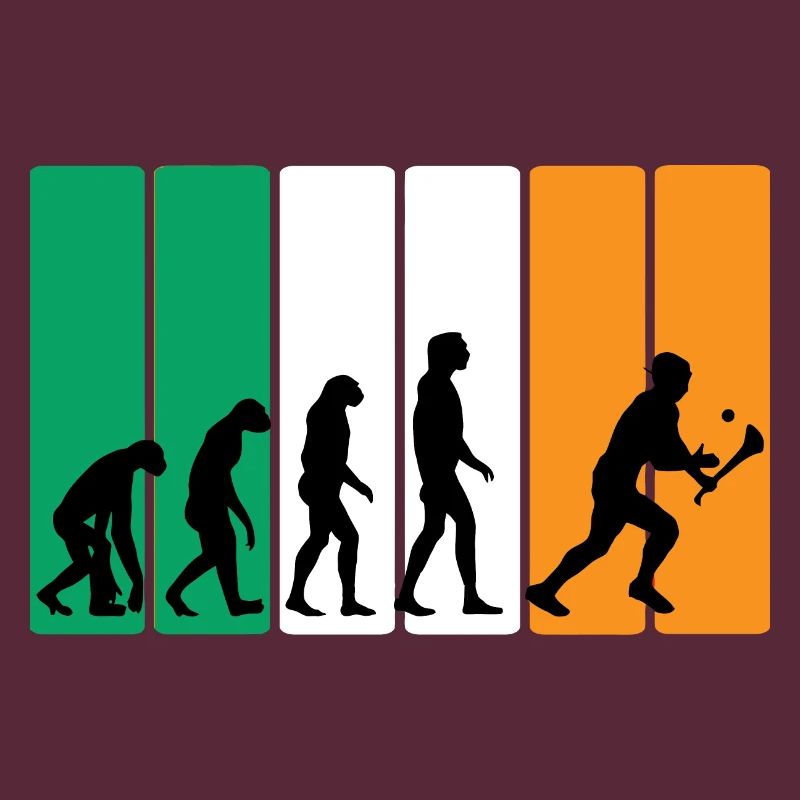 L’évolution du hurling