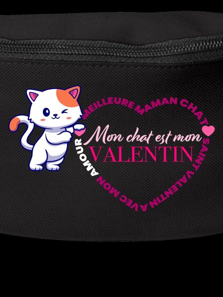 Chat Valentin Coeur