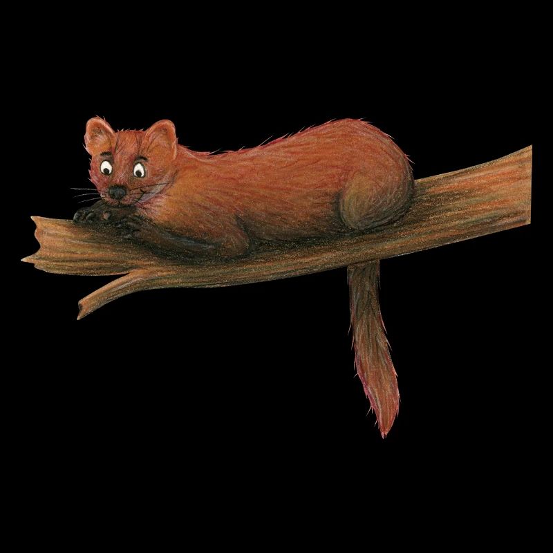 Baummarder