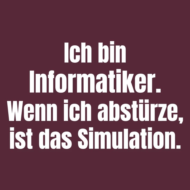 I'm a computer scientist – crash as a simulation
