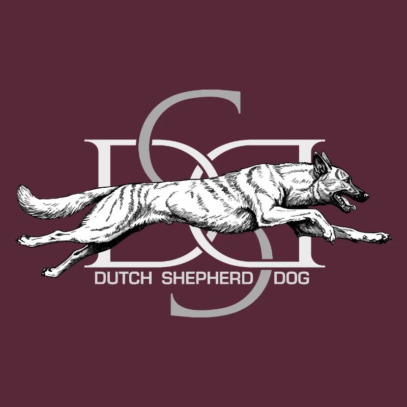 Dutchie - Holländischer Schäferhund