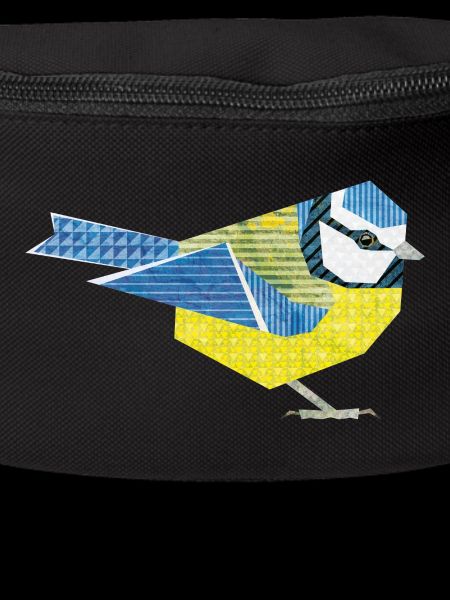 Blue Tit