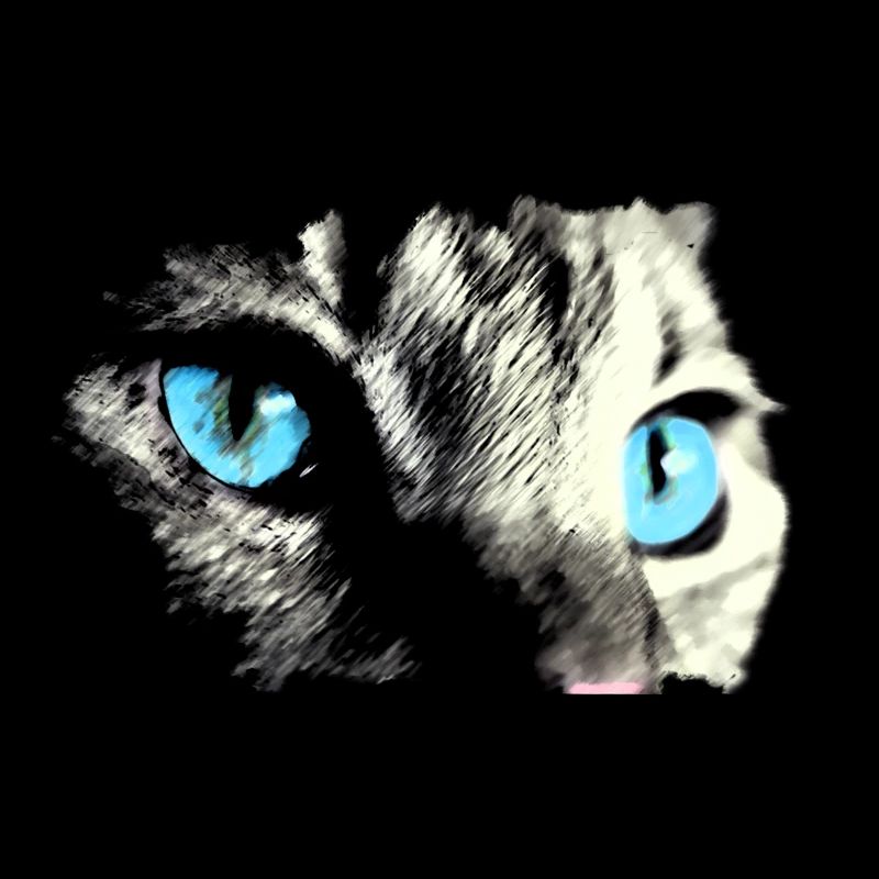 Cat with blue eyes! beautiful gift idea
