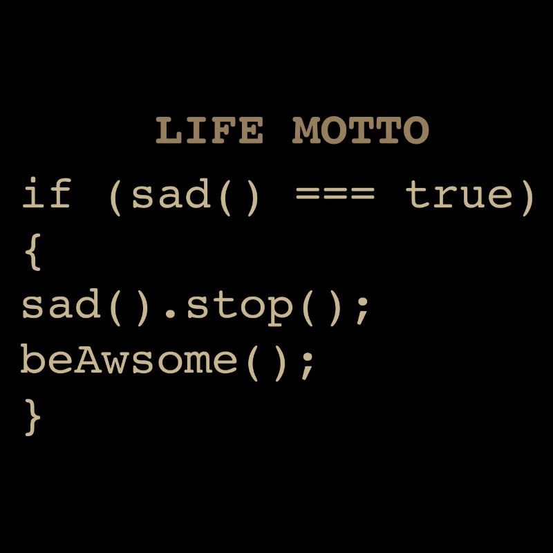 Developer IT Life Motto
