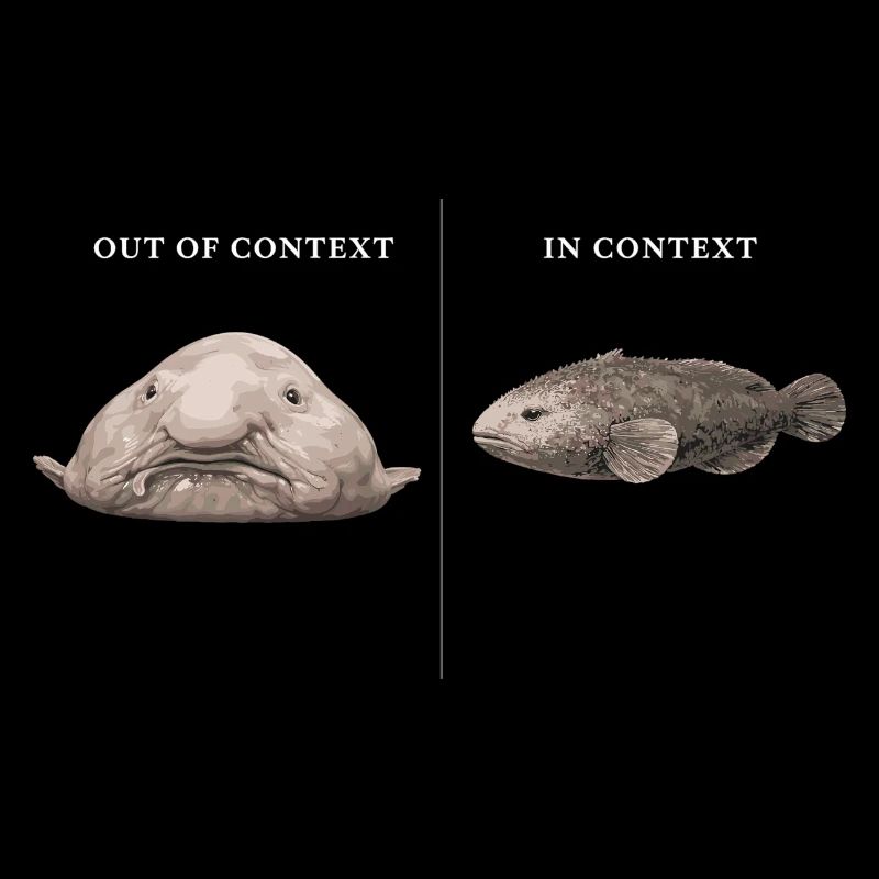 Blobfish Out Of Context vs In Context Comparison