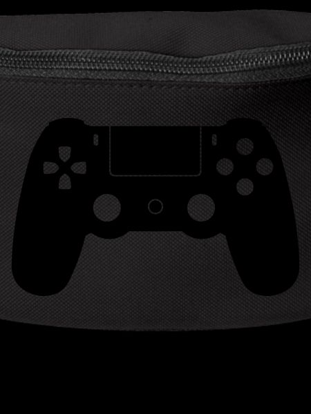 PS 4 pad