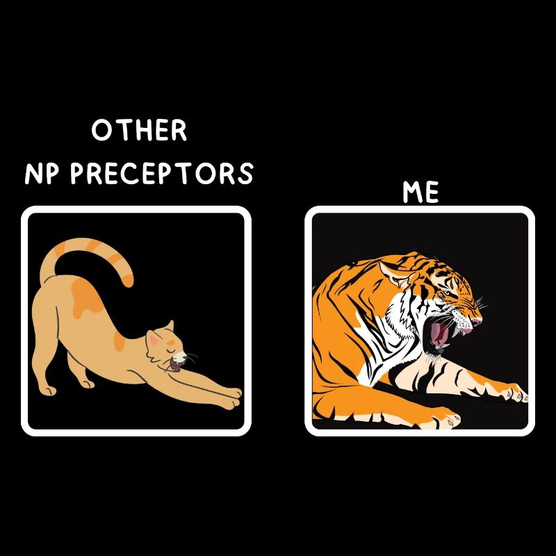 Np Nurse Practitioner Preceptor Funny meme gifts