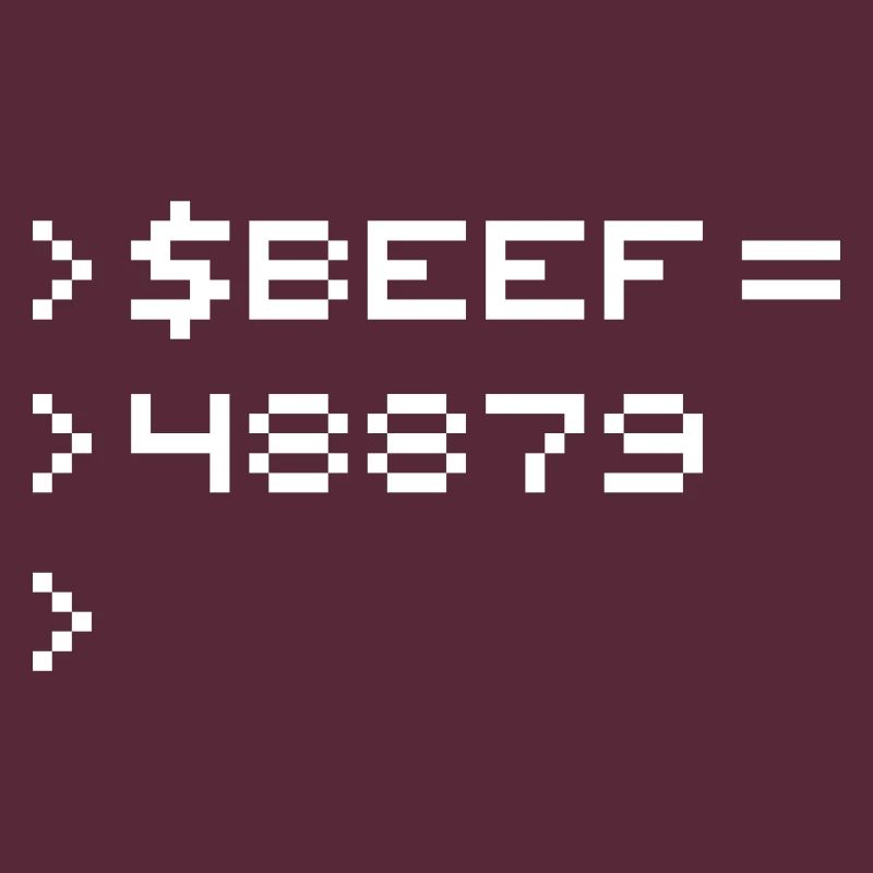 BEEF 8-Bit Code Nerd Pixel Terminal Retro