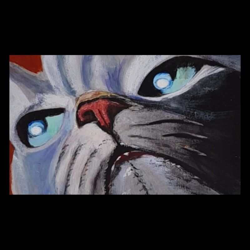 Cat Cartoon Comic