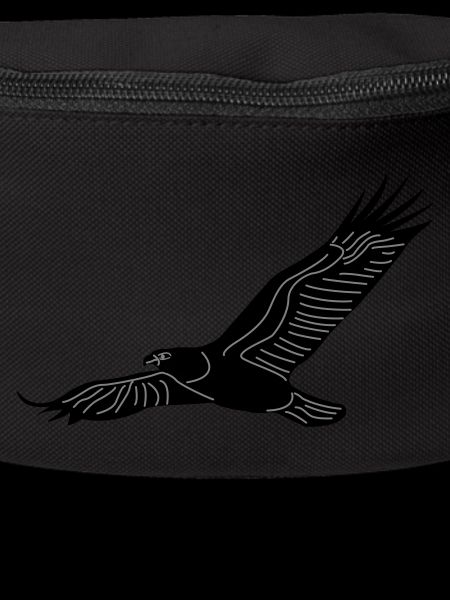 eagle01b