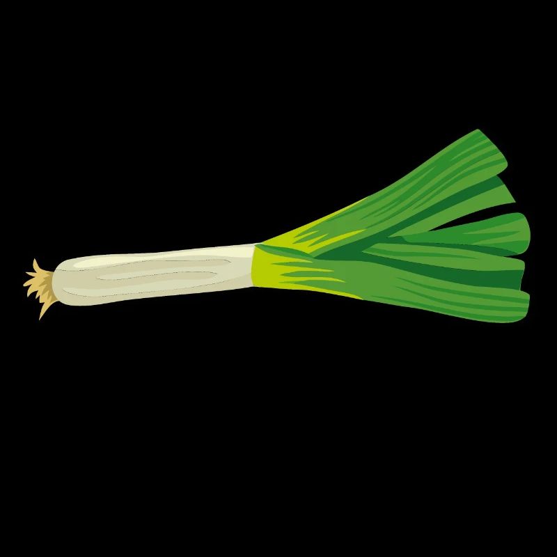 lauch1