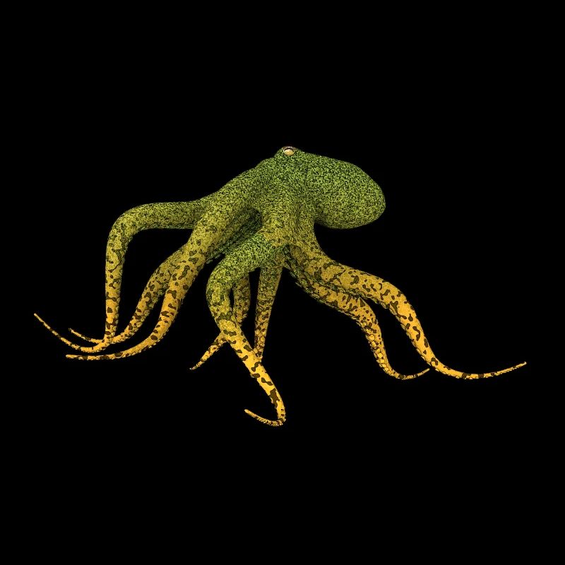 Octopuses, squid, octopus