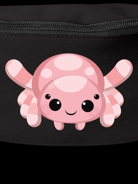 Spinne mimi