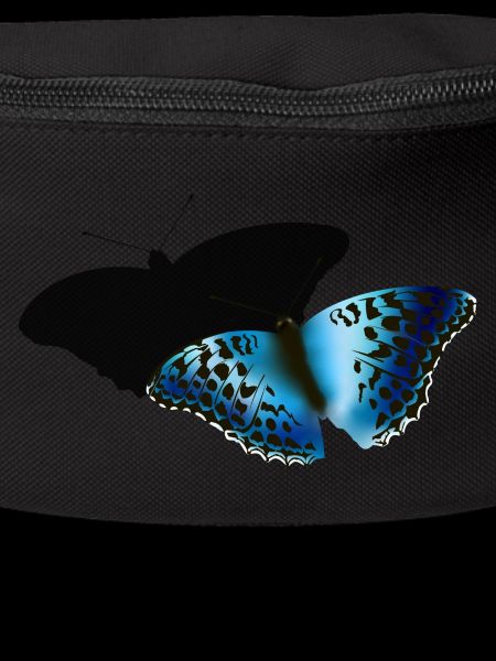 Blue Butterfly