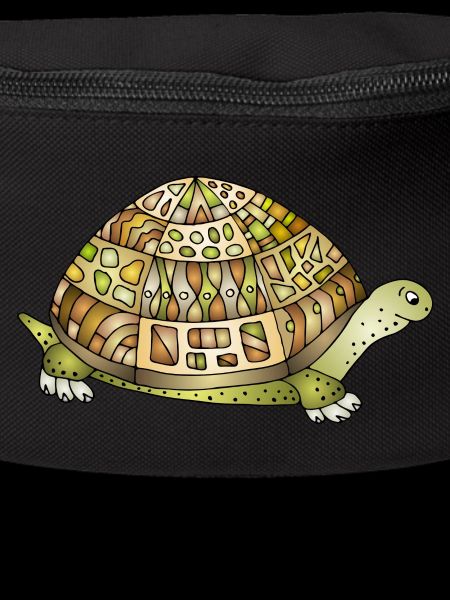 Tortoise
