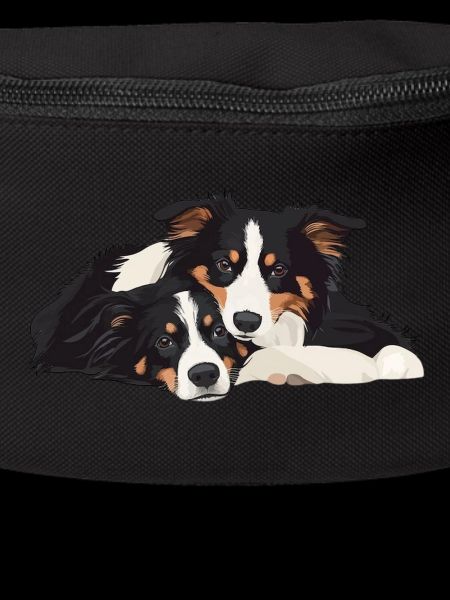 Australian Shepherds