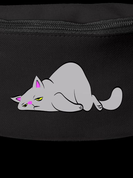 Tired cat