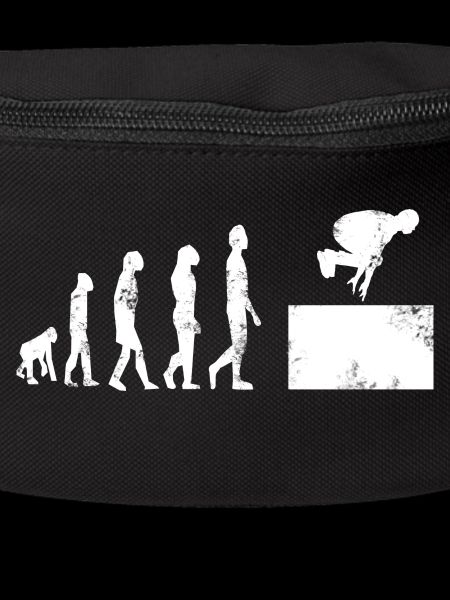 Cat Pass Parkour Evolution