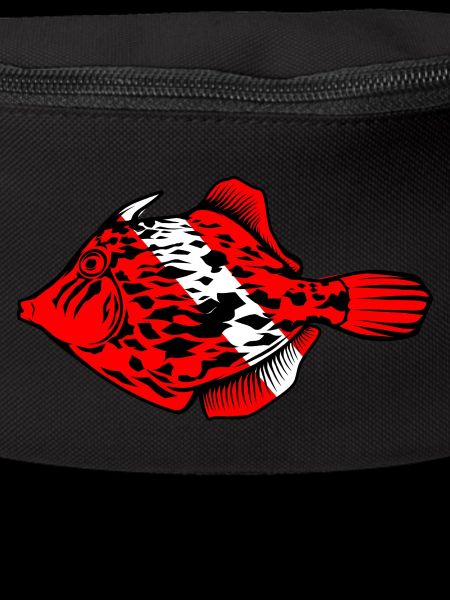 File fish by Scuba.Style