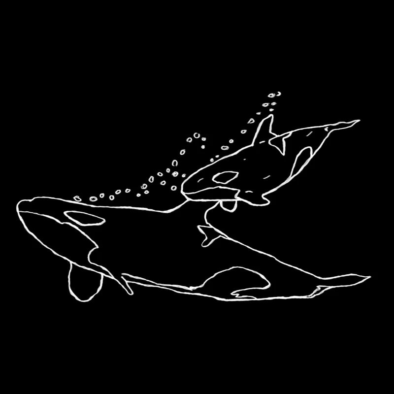 Orca