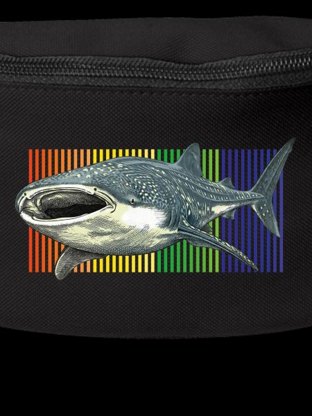 Requin-baleine Rhincodon typus