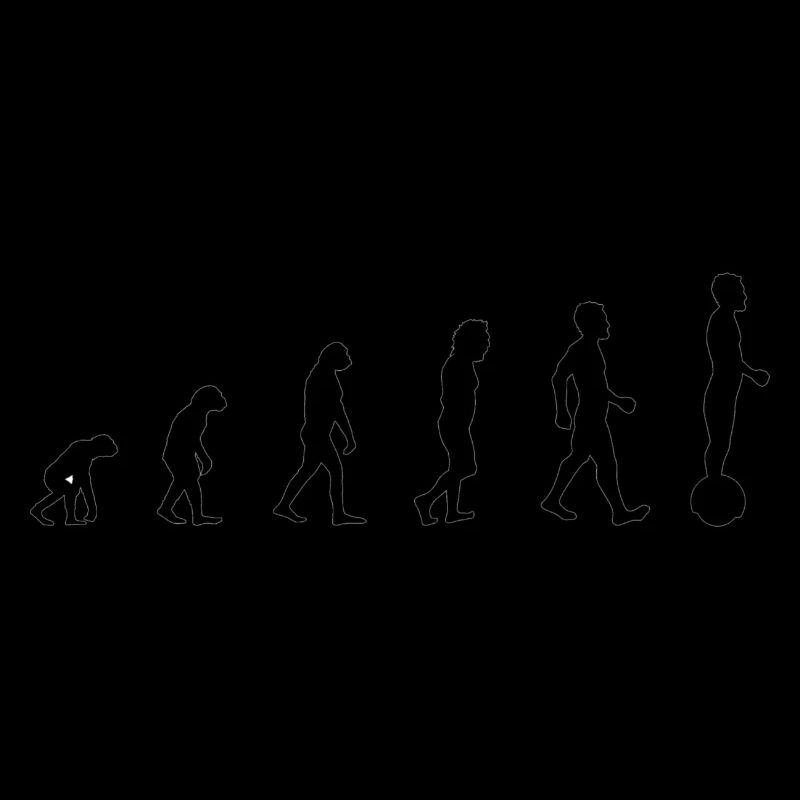 Gyrowheel evolution