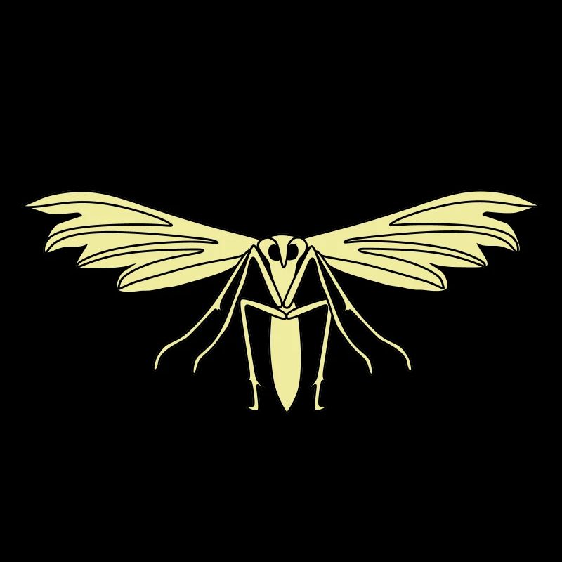 Feather moth