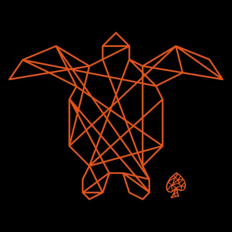 Shapes - Tortuga