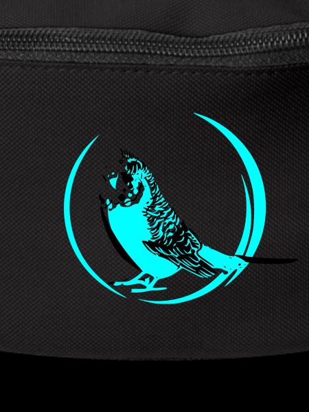 budgerigar