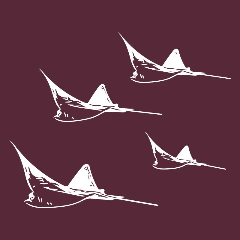 Formation de vol Eagle Ray