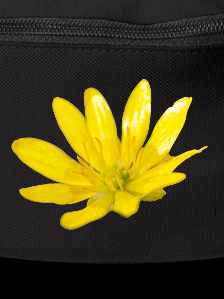 Flower, A730948