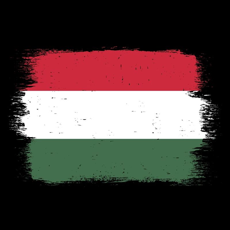 Hongrie Drapeau Hongrois Drapeau Balaton Hongrie