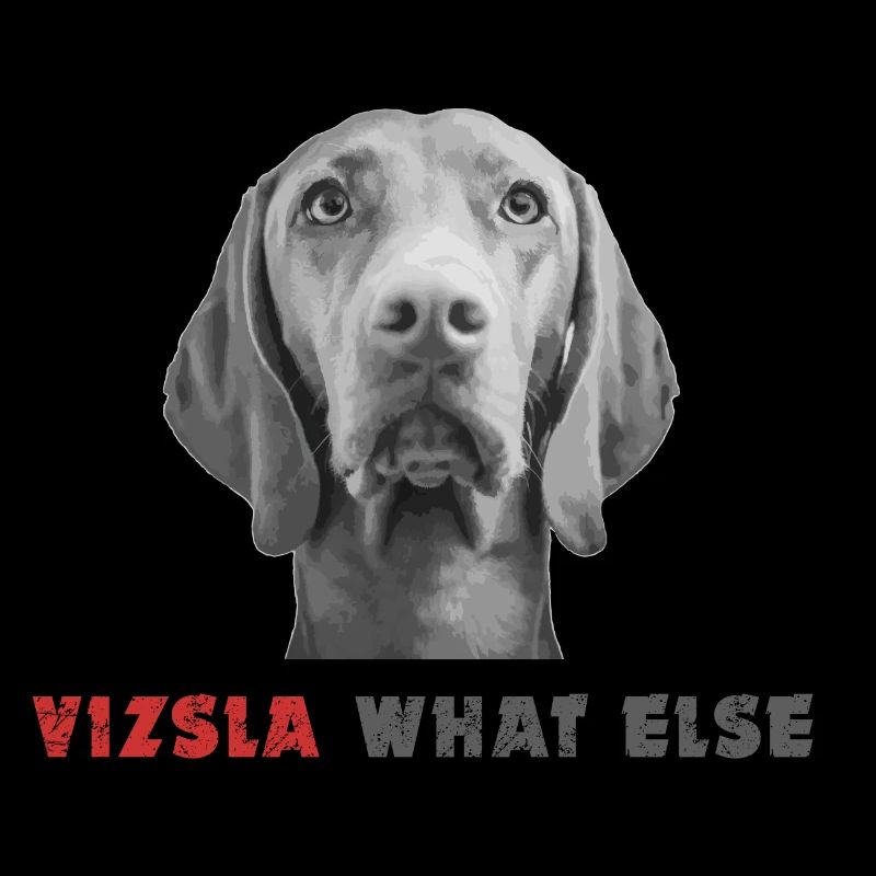Vizsla What else