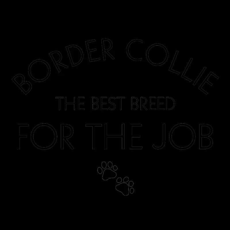 Border Collie the best