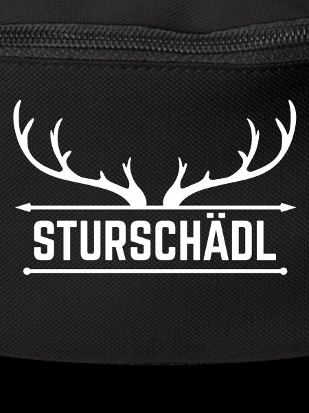Sturschaedl