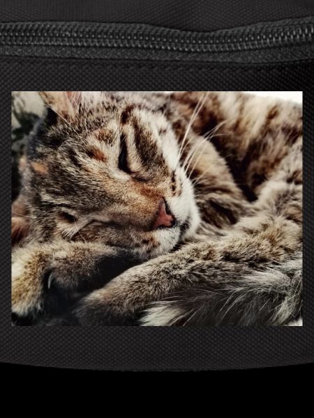 Cozy