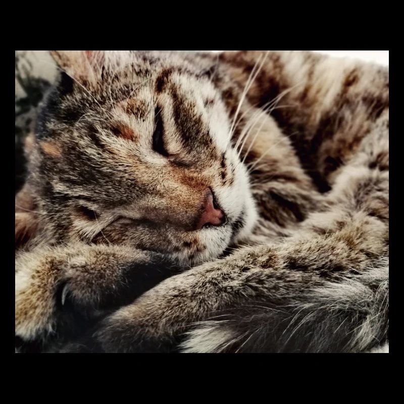 confortable