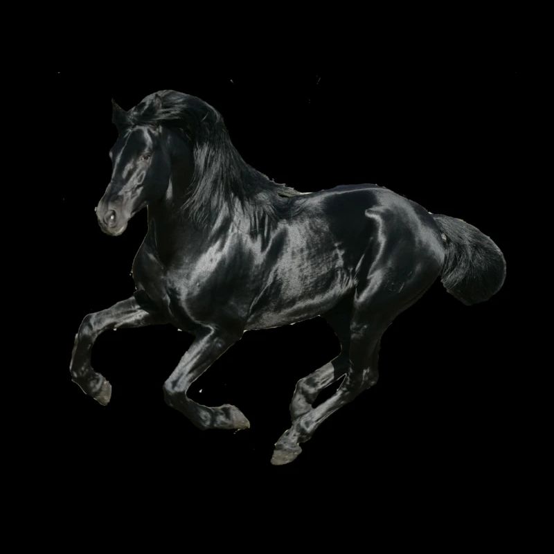 cheval