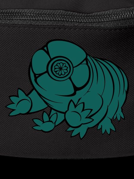 Bärtierchen Tardigrade