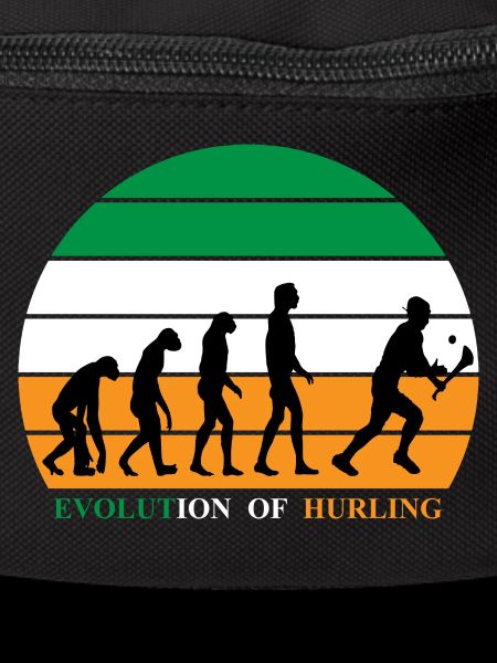 The Evolution of Hurling