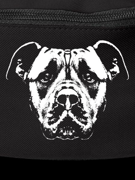 Dog / Head / White / Faithful