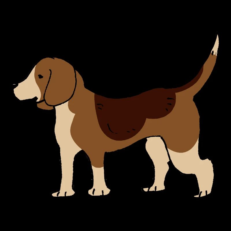 Beagle