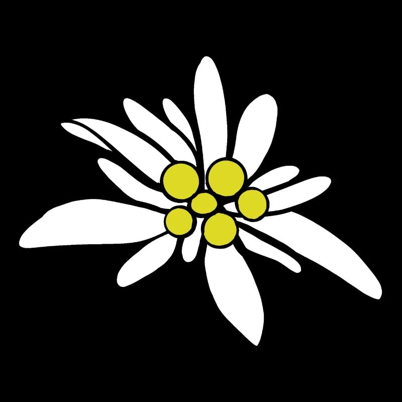 Edelweiß 1