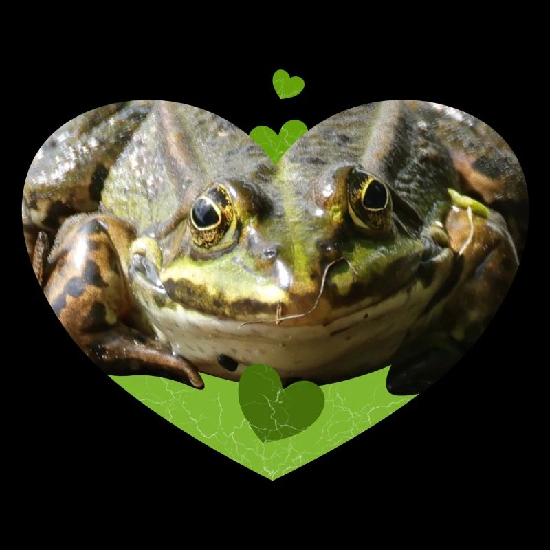 Frog Toad Frogs Prince