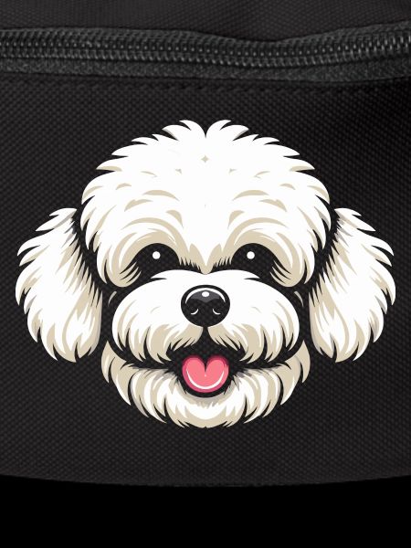 Bichon
