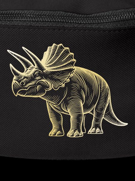 Triceratops Dinosaur Drawing
