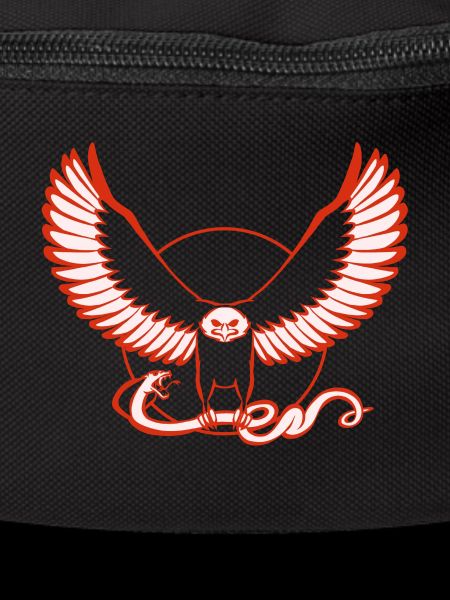 Eagleand Snake
