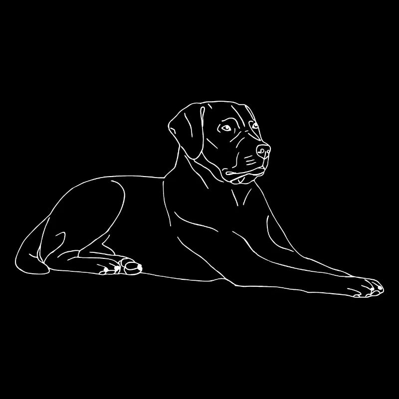Labrador liegend