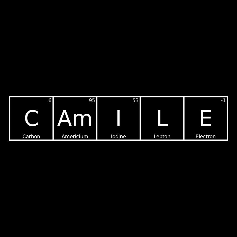 Nom Camile Prénom Chimie Tableau périodique Éléments