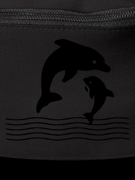 Dolphin dolphin